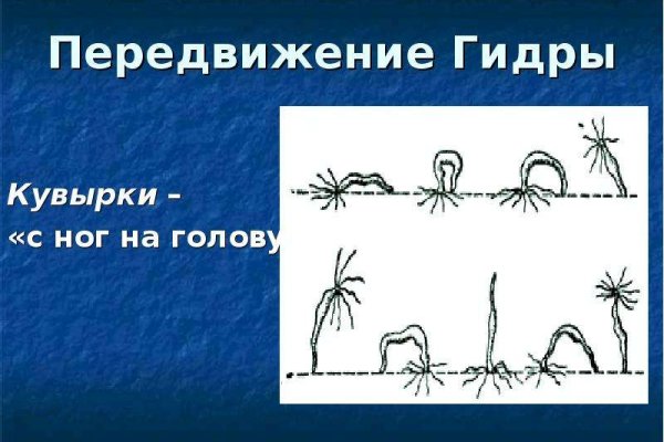 Ссылка на магазин kraken