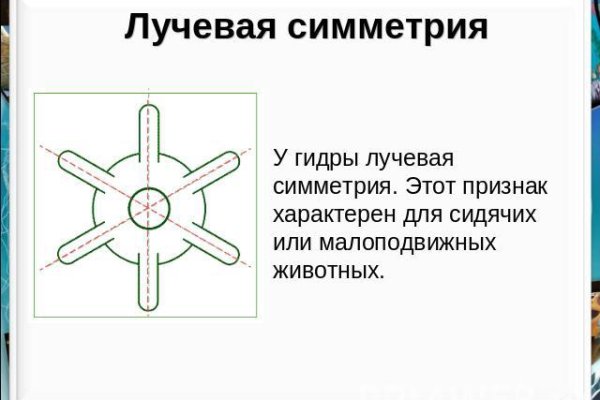 Kraken ссылки актуальные 2025 г