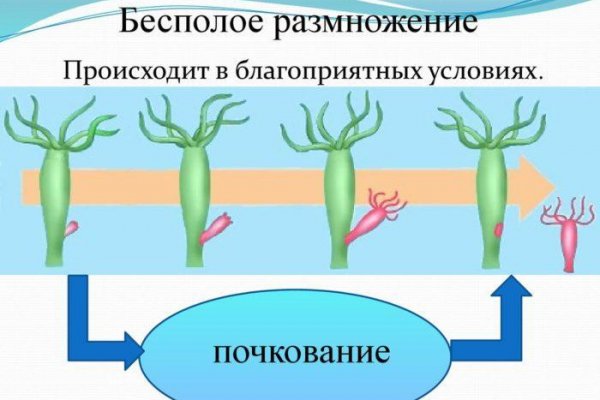 Кракен площадка ссылка