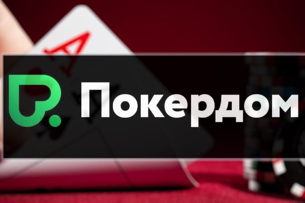Что за приложение кракен