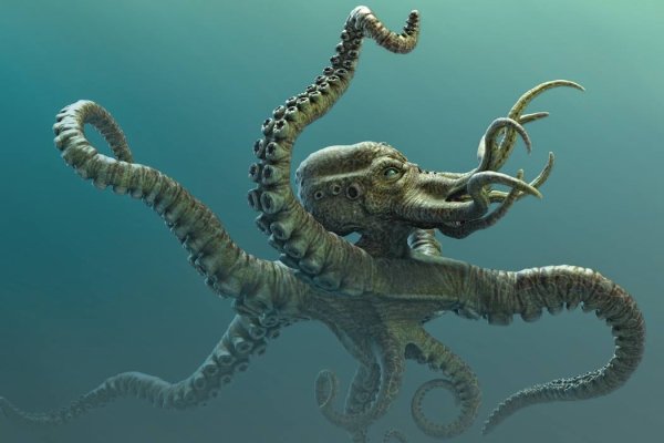 Ссылка на кракен тор kraken2 4aa337