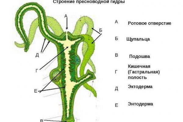Hydra ссылка мечтаево